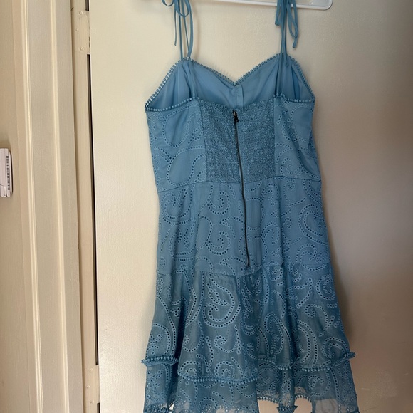 EUC ALICE + OLIVIA ROSETTE SWEETHEART NECK RUFFLE MINI DRESS SZ 10 SOLD OUT - Picture 9 of 11